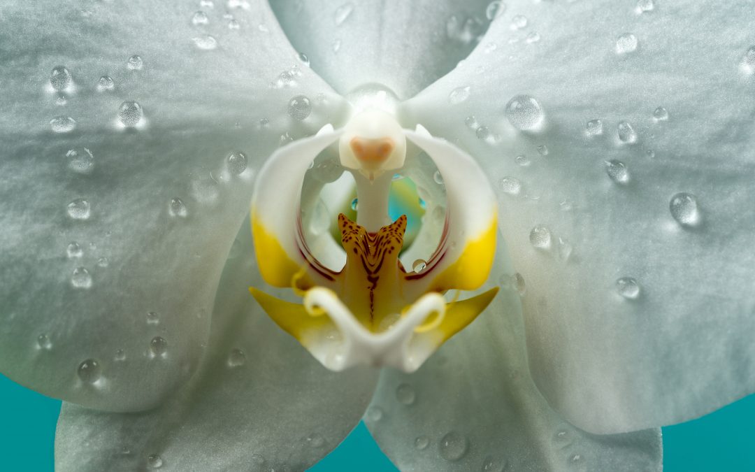 The Magic Rainbow Orgasm